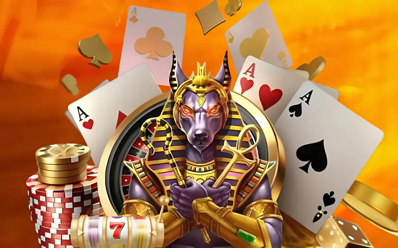 pocket52 apk download at Pocket 52 body image